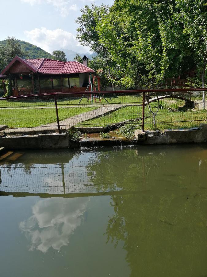 Pensiune Pensiunea Maria Sîmbăta de Sus