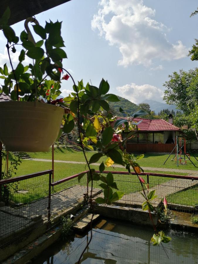 Pensiune Pensiunea Maria Sîmbăta de Sus